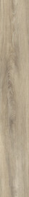 Malvern Oak