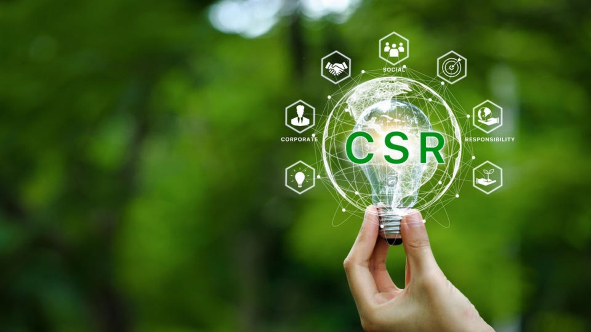 Corporate Social Responsibility Is Adapting, Survey Reveals Key Trends
