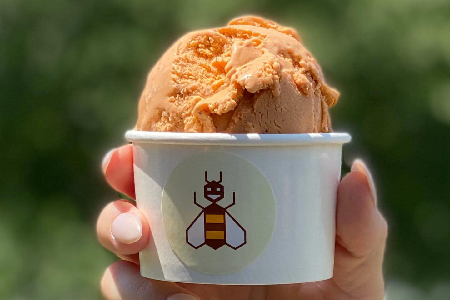 A hand holding a cup of Randall’s golden B-Line ice cream.