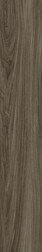 Timberwolf Elm