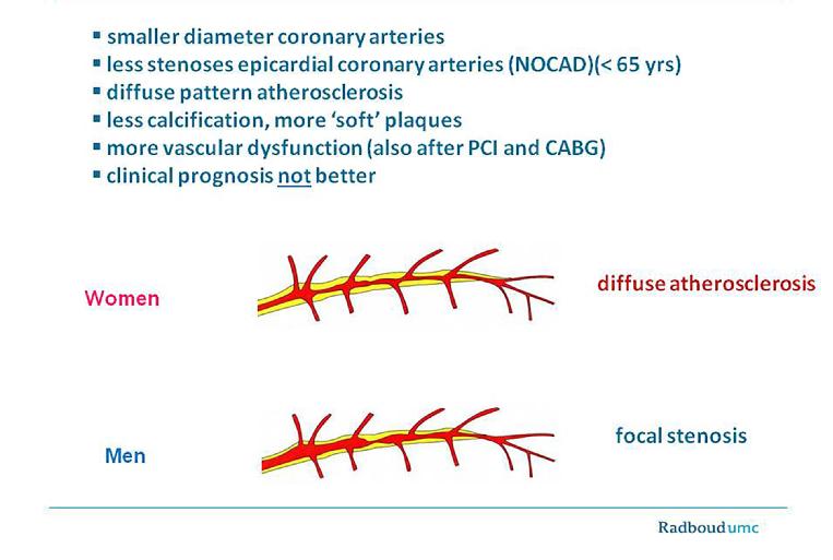 V15n03-Figure1_escardio-hPhotoLarge.jpg