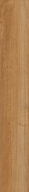 American Oak