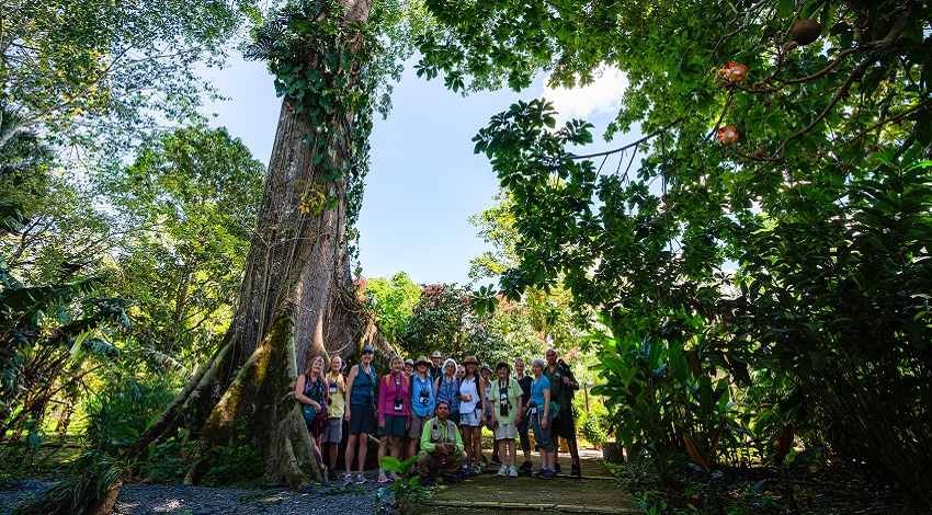 A group of Road Scholars stands in front of an enormous tree at a botanical garden