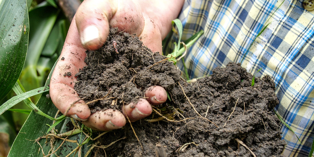 Heathy soil from regenerative agriculture field
