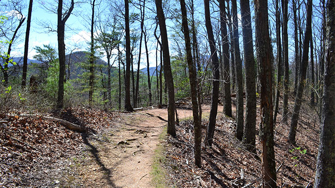 17288-appalachian-trail-1c.jpg