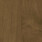 English Walnut Filbert
