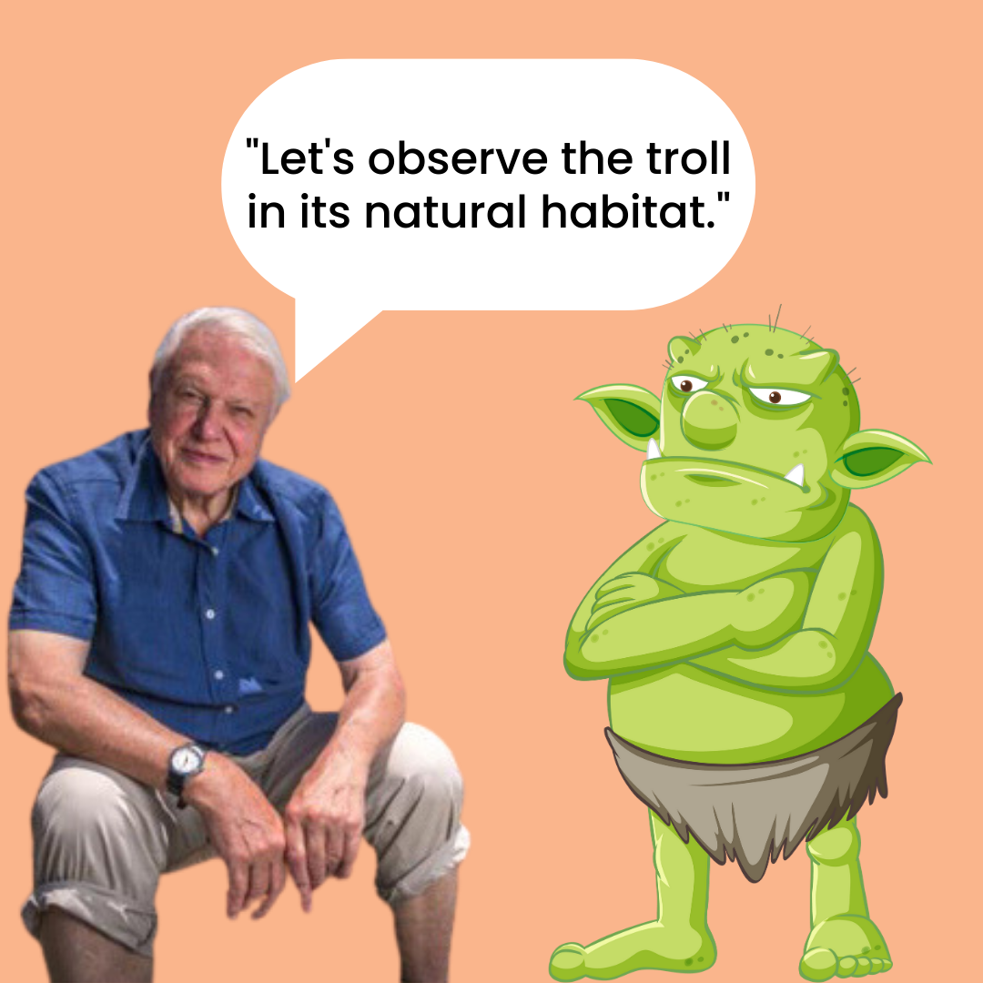 A seated person on the left and an illustrated green troll on the right with arms crossed; a speech bubble reads: “Let’s observe the troll in its natural habitat.”