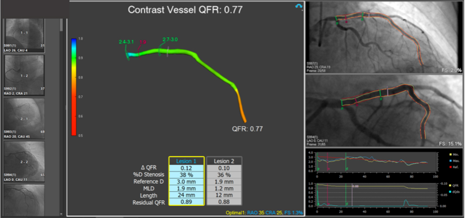 340_Bicho Augusto_Figure 3_FINAL.jpg