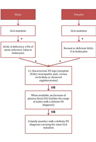 ESC_56_Vischer_FINAL_Figure 1_First in a series on Fabry disease.jpg