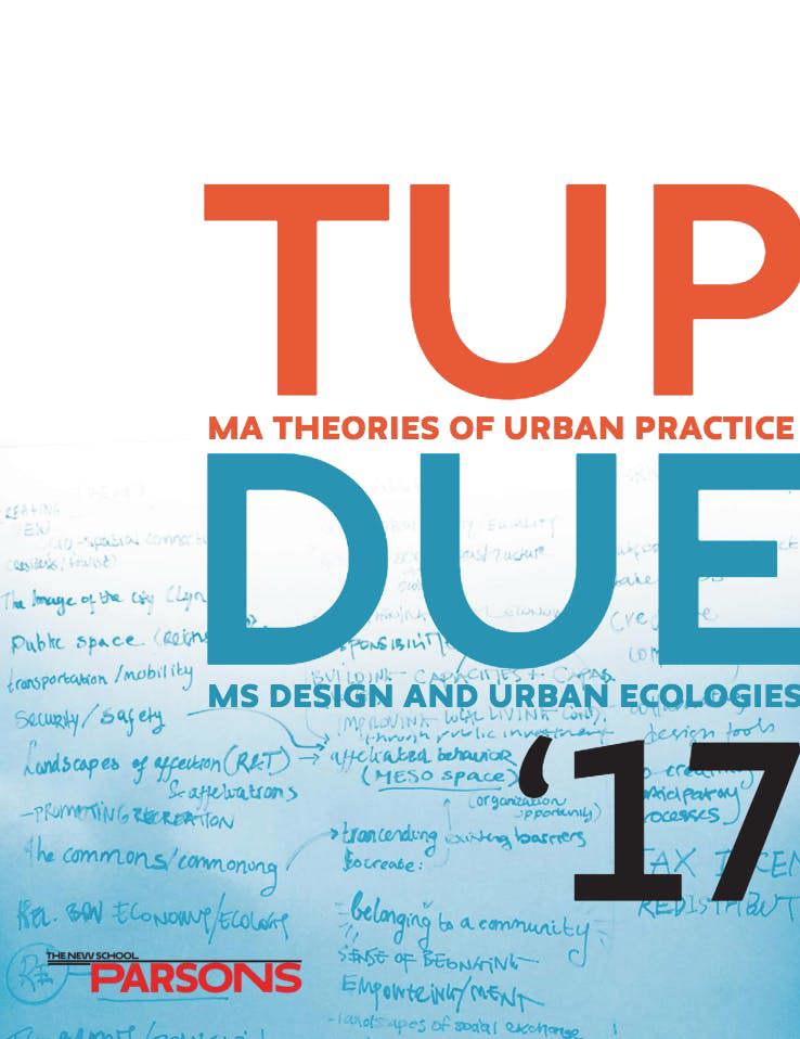 TUP and DUE Thesis Works 2017