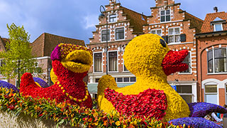 24933-NL-Haarlem-Flower-Parade-Float-smhoz.jpg