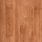 Red Maple
