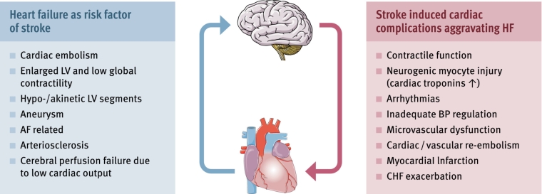 364_Doehner_FINAL FOR PUBLICATION_Figure 1_escardio-hPhotoLarge.jpg