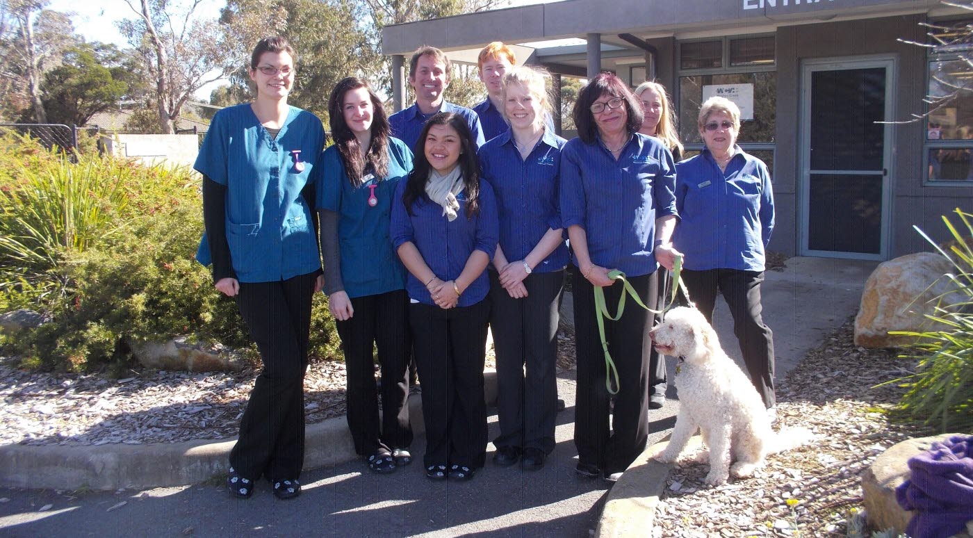 Accredited Hospital - staff photo