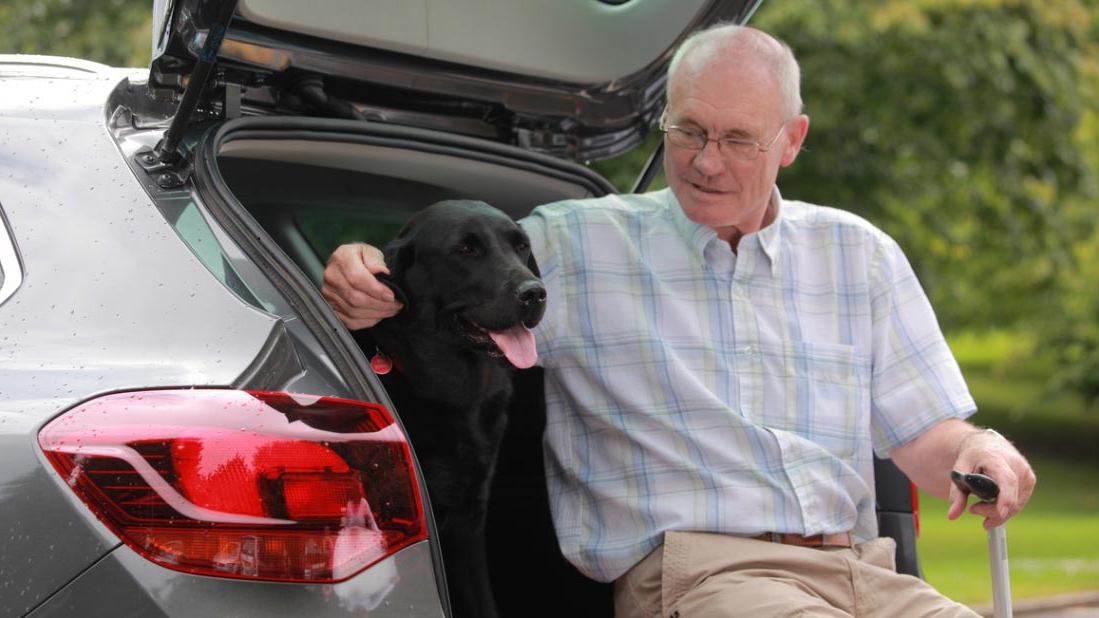 An older man with glasses and a walking stick sits at the open boot of a grey car, petting a black Labrador. The dog is panting happily with its tongue out. The setting is a lush, green park with trees in the background