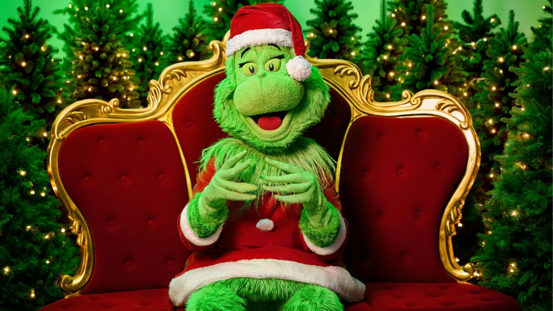 Photos with The Grinch at Forest Lake