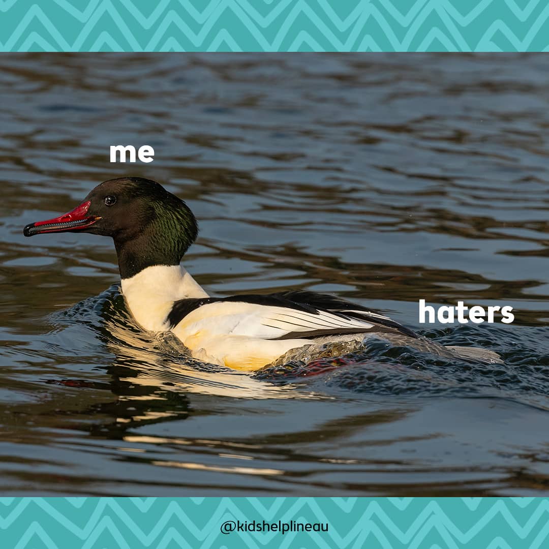 A photo of a duck swimming in water, with text that reads “me” above the duck and “haters” to the right.