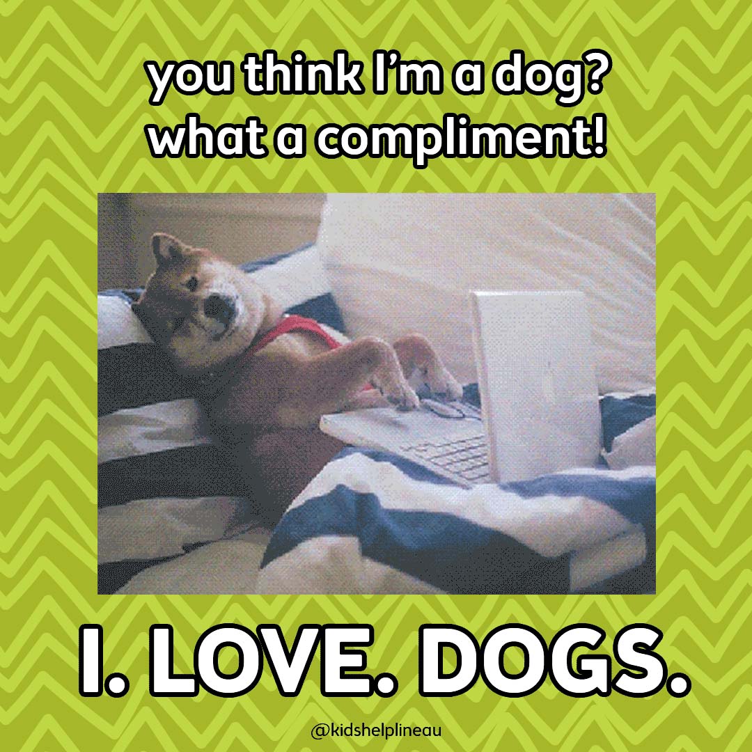 A photo of a dog lying on a bed using a laptop, with text that reads: “you think I’m a dog? what a compliment! I. LOVE. DOGS.”.