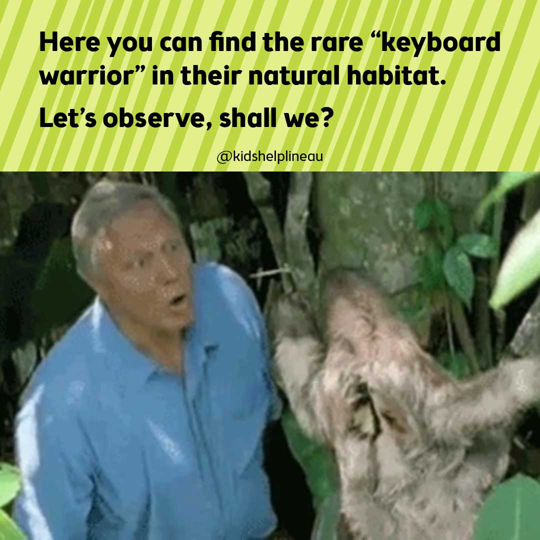 A photo of a person in a forest scene looking at a sloth, with text that reads: “Here you can find the rare ‘keyboard warrior’ in their natural habitat. Let’s observe, shall we?”.