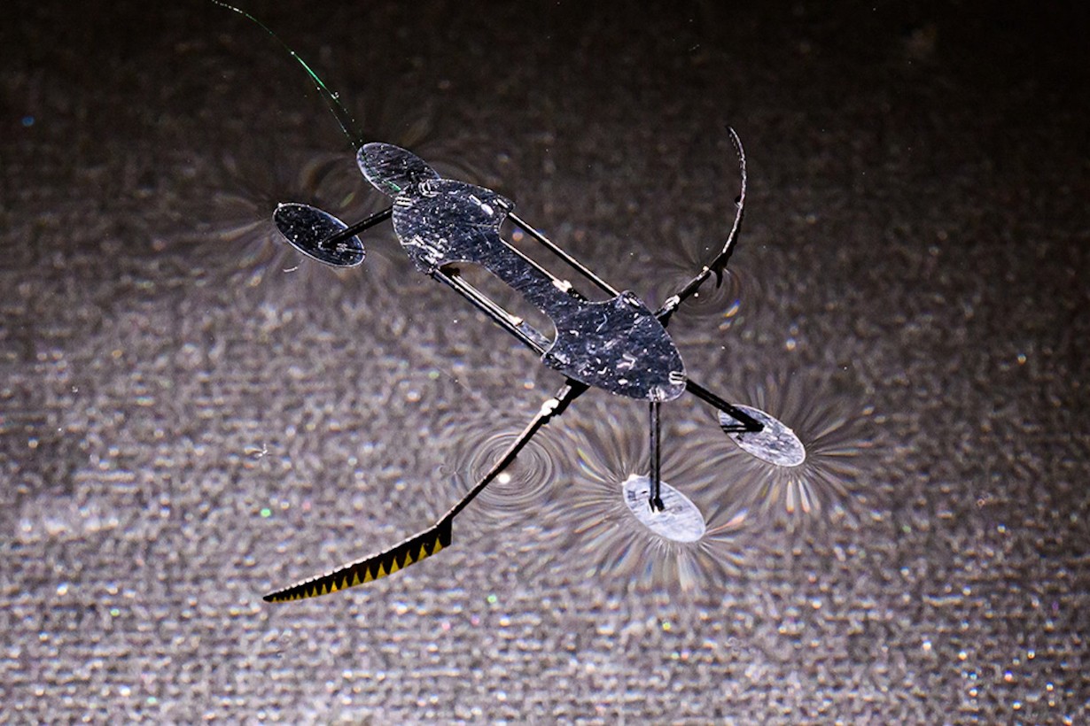 小型昆虫とアメンボからヒントを得た、世界最小のマイクロロボット