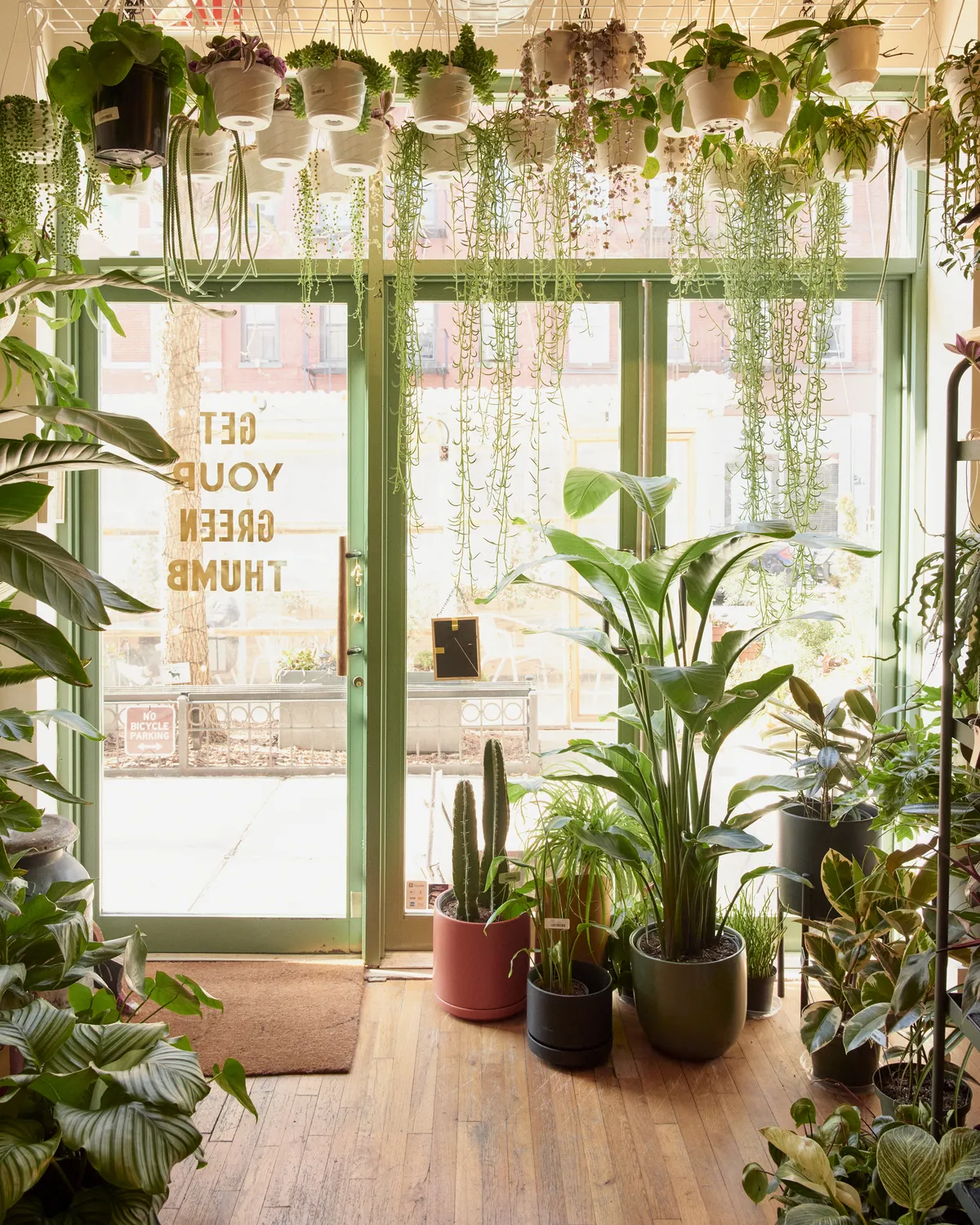 Copy of Copy of 2023.02.08-TEND_07_176 (1)_compressed.webp