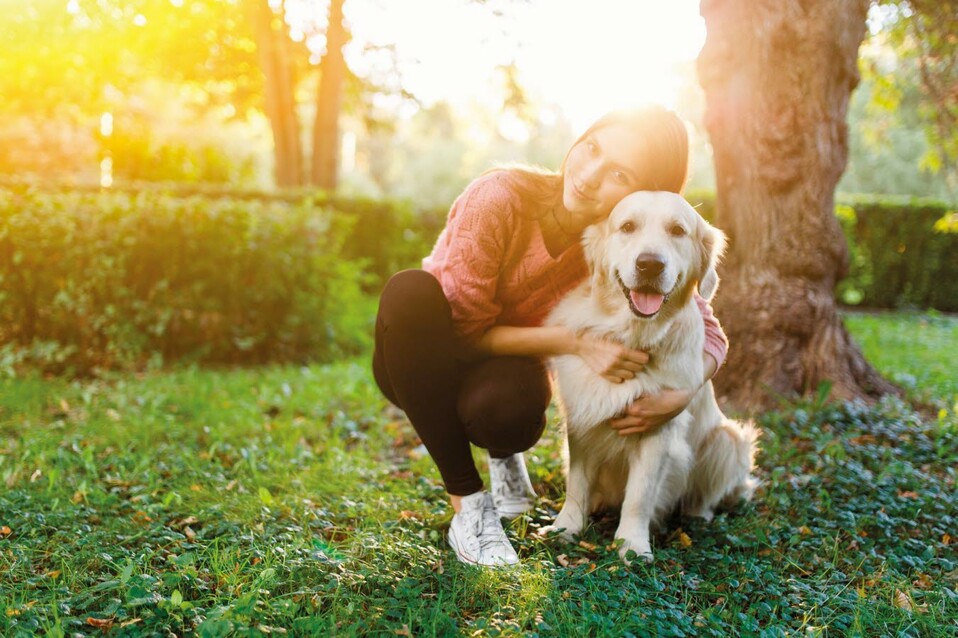 Vetoquinol_Phovia_DogPHOVIA_LIGHT_DOG_OK.20220316020444077.jp