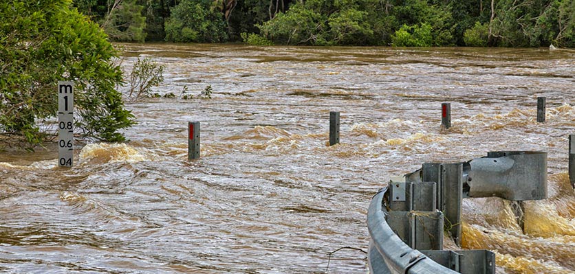 vet voice - floods - queensland