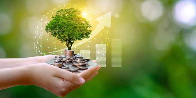 hand Coin tree The tree grows on the pile. Saving money for the future. Investment Ideas and Business Growth. Green background with bokeh sun