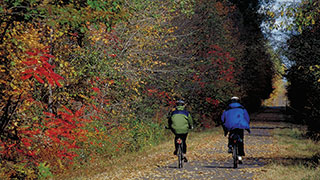 11662-biking-virginia-creeper-trail-naturalist-study-blue-ridge-mountains-smhoz.jpg