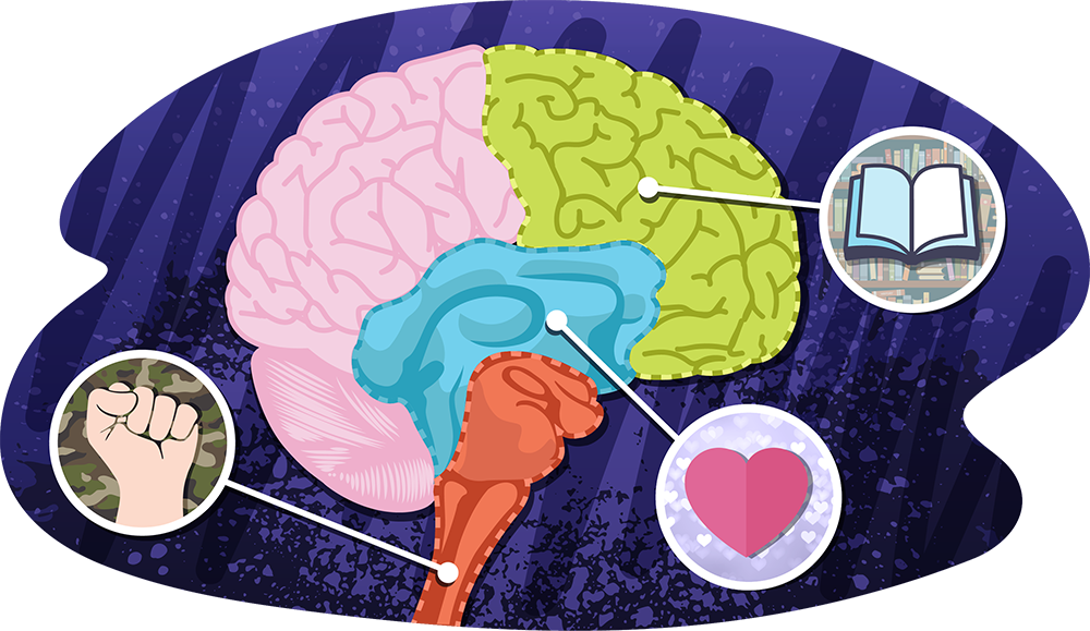 An illustrated brain shown in different colours, with call‑out circles containing a book icon, a heart icon, and a raised fist icon.