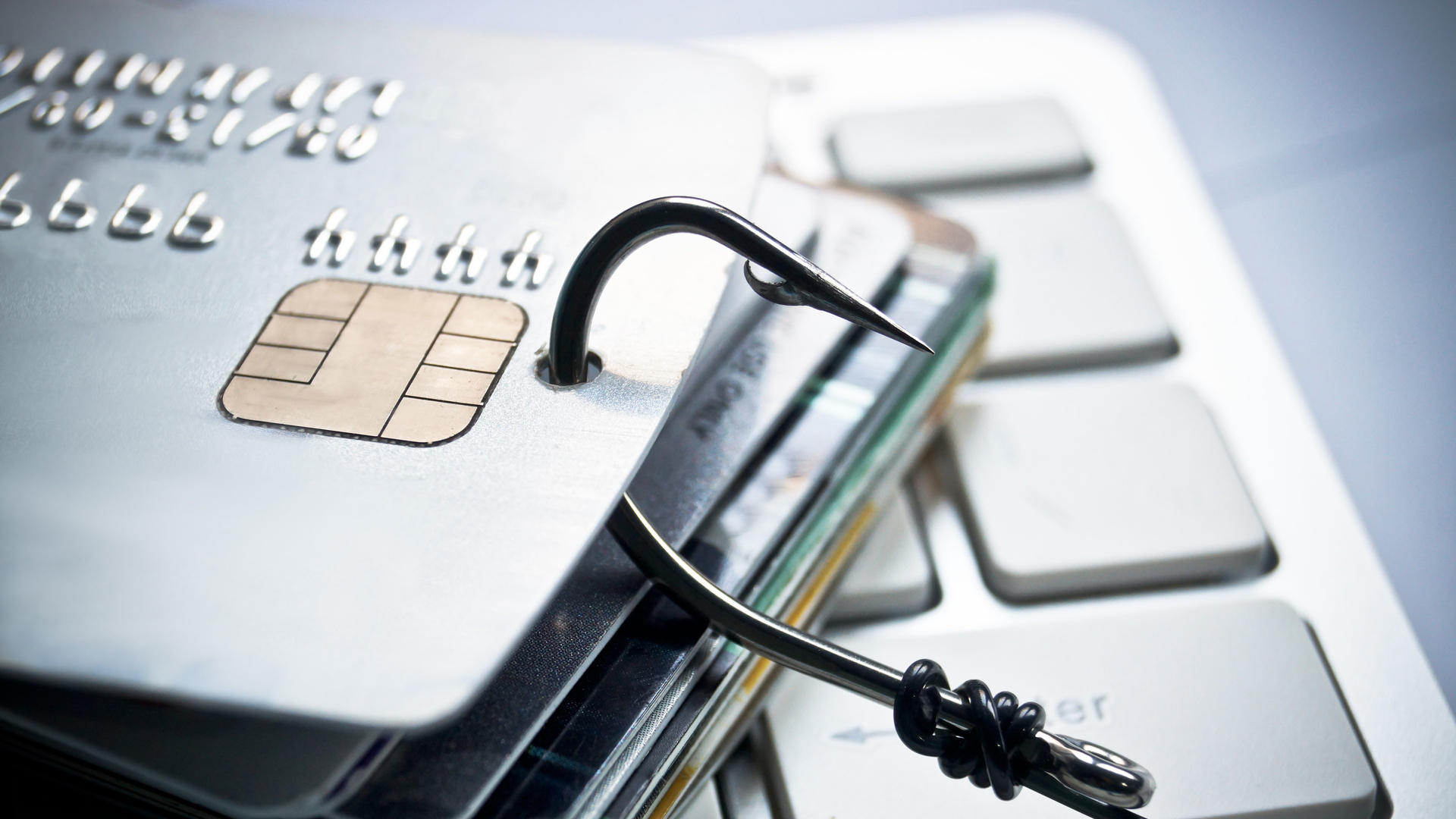 Credit card phishing