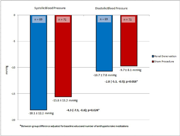 183_Schmieder_Figure 1a_The resurrection of renal denervation.jpg