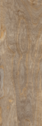Bleached Elm