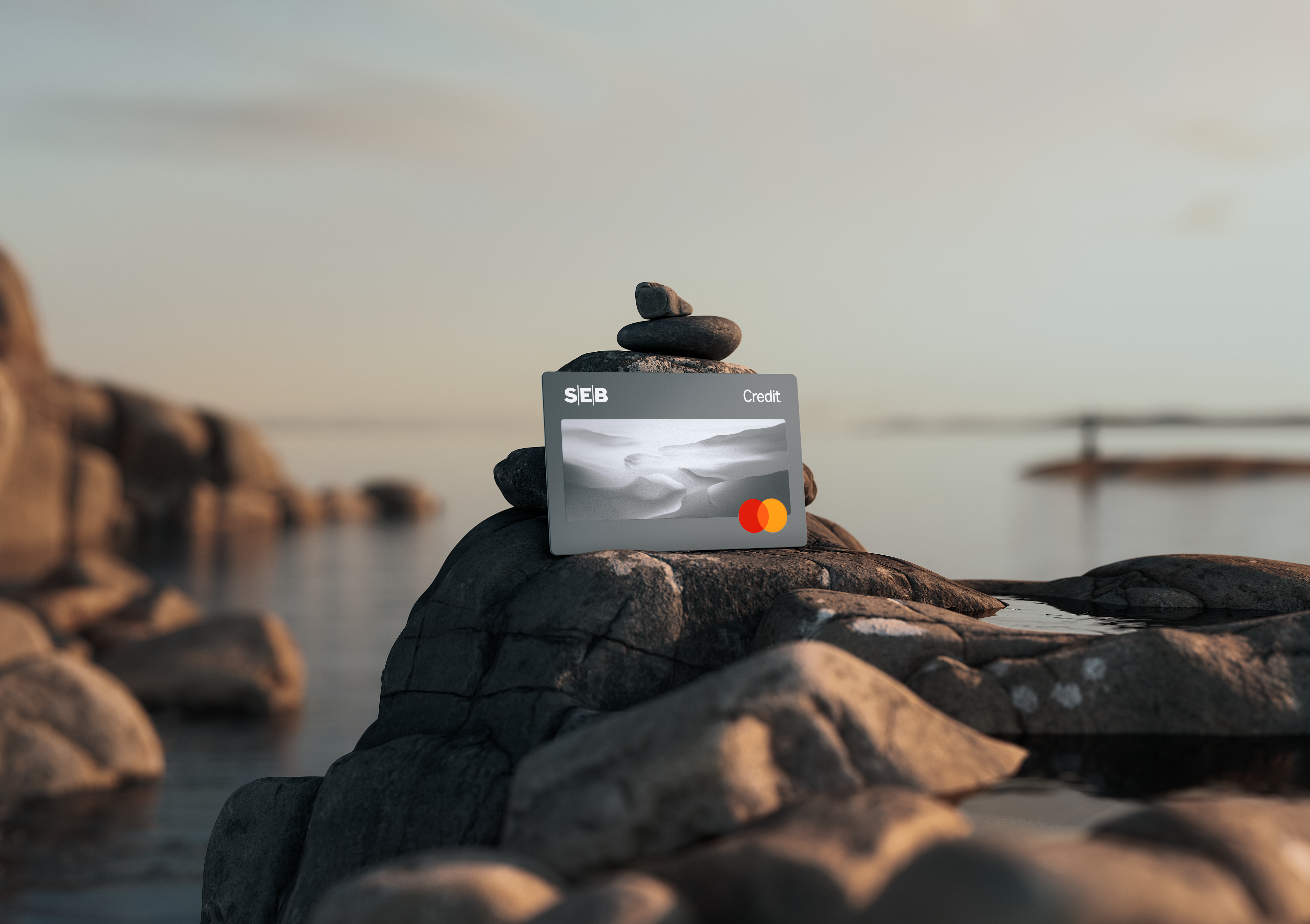 SEB kredit kort