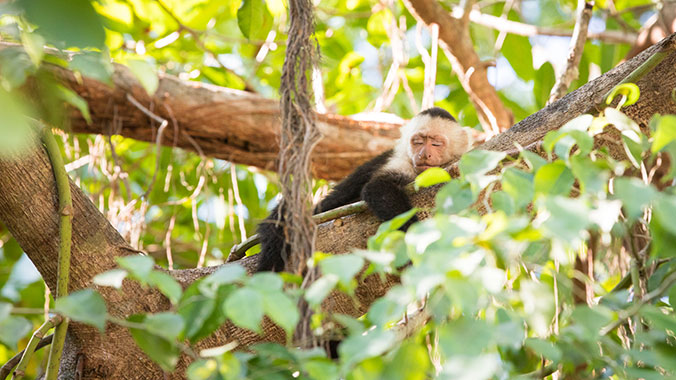 The Best of Costa Rica: Exploring Natural Wonders