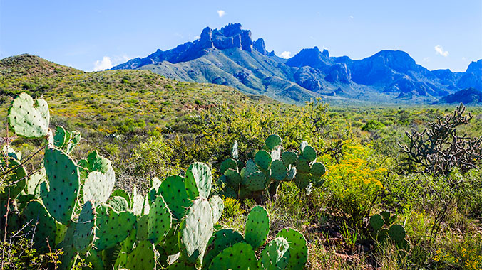 Hiking Big Bend National Park