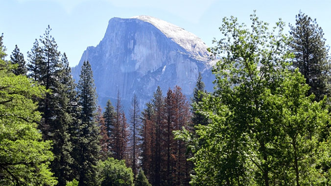 Yosemite and Sierra Nevada National Parks, California