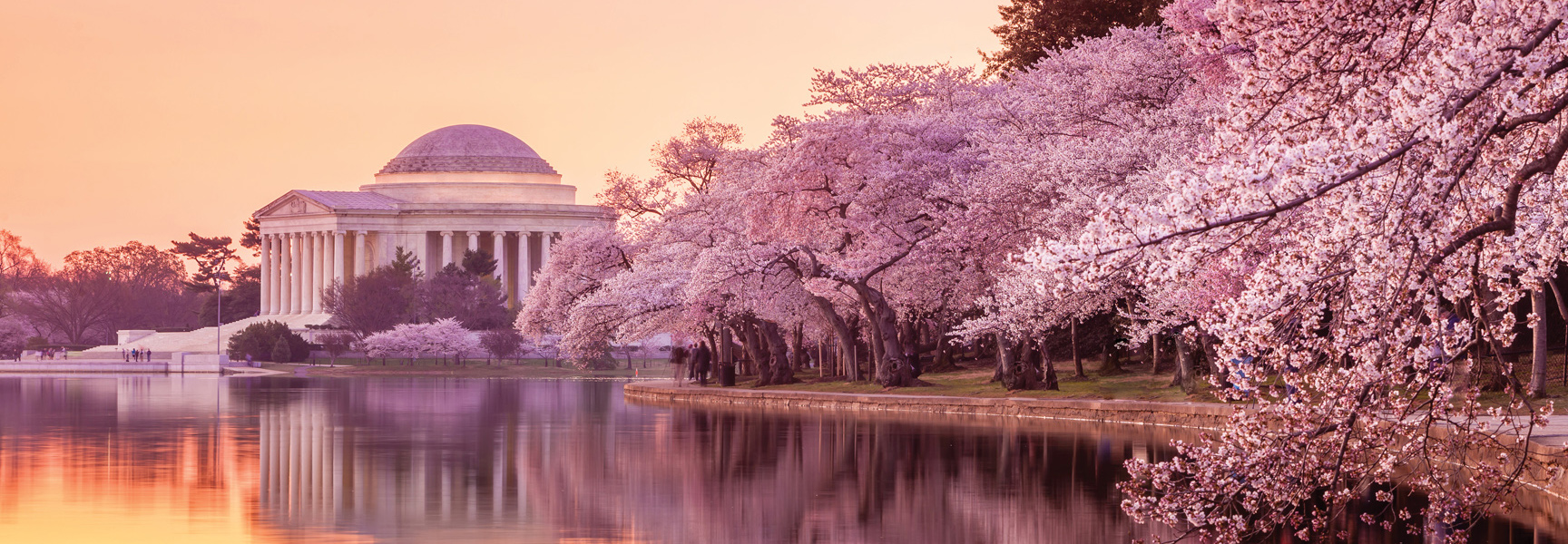 The Jefferson Memorial in Washington, D.C., is seen across the Tidal Basin at sunset, framed by blooming pink cherry blossom trees.
