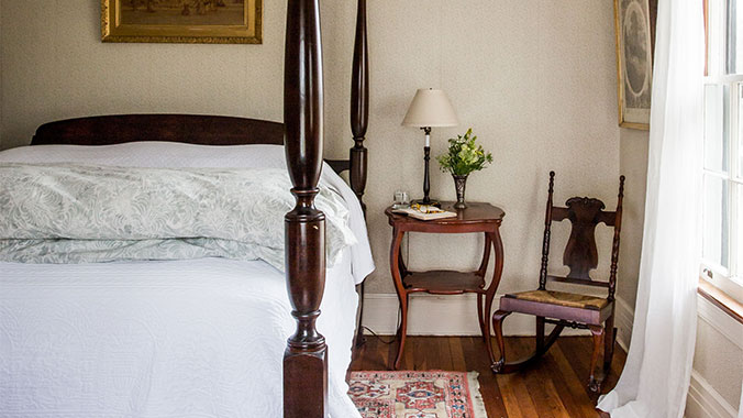 Historic Amelia & Secluded Cumberland: Island Adventures