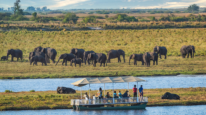 Tourists on a safari boat in Chobe National Park, Botswana, watch a large herd of elephants grazing on the riverbank.