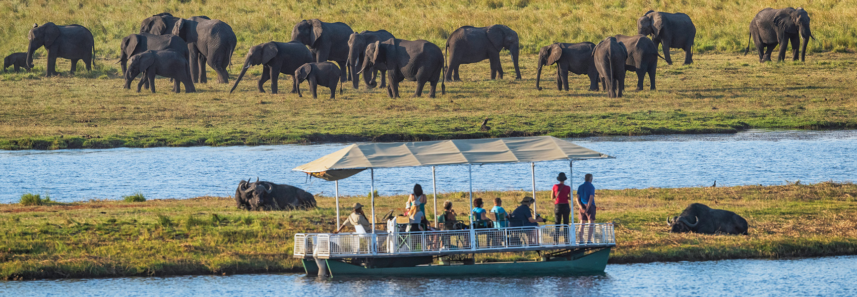 A group on a safari boat in Southern Africa watches a large herd of elephants and water buffalo on the riverbank.