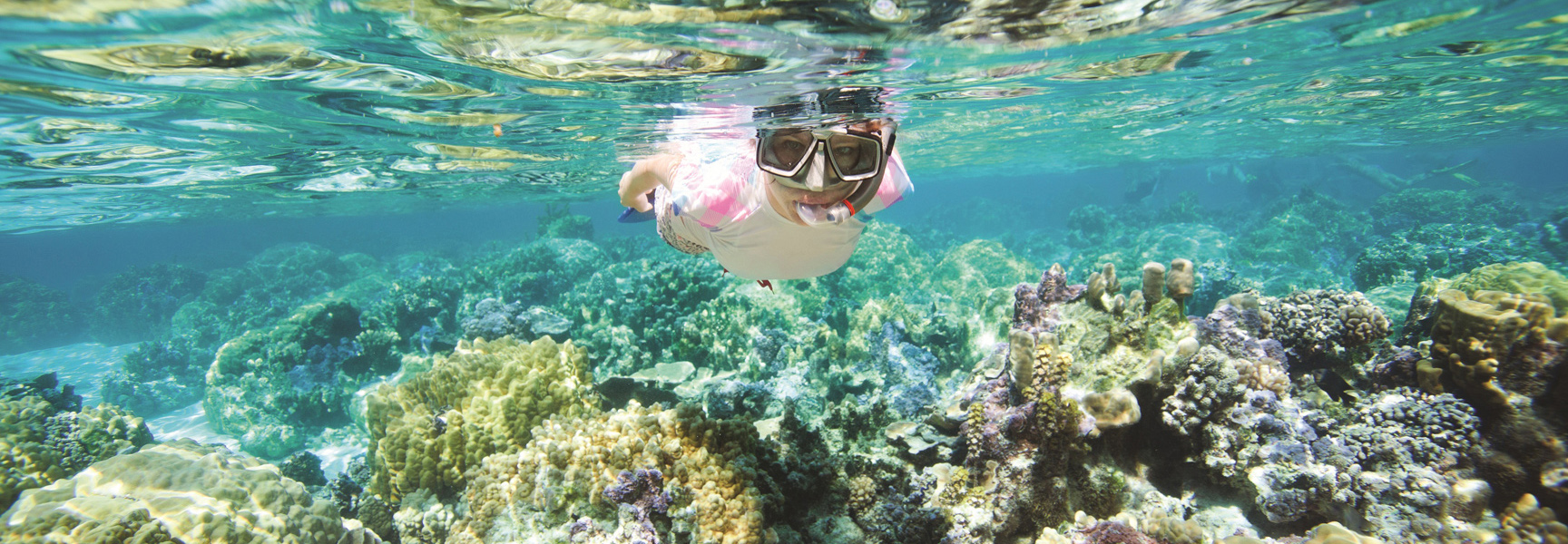 A snorkeler swims in clear blue water above a vibrant coral reef in the Florida Keys.