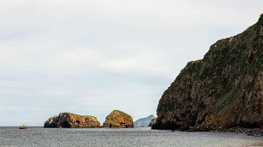 Rocky sea stacks and steep, vegetated cliffs line the shore of Santa Cruz Island in Channel Islands National Park, California.