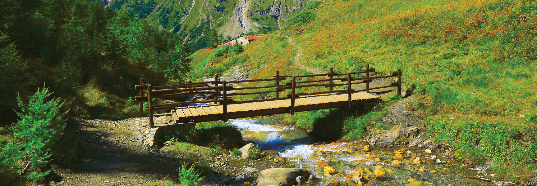 A wooden bridge crosses a stream along a hiking trail in the green mountains of the European Alps in Switzerland, Italy, and France.