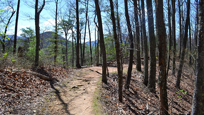 Southern Appalachian Mountains