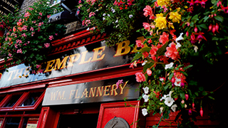 The Best of Ireland: The Coast, the Countryside and Dublin
