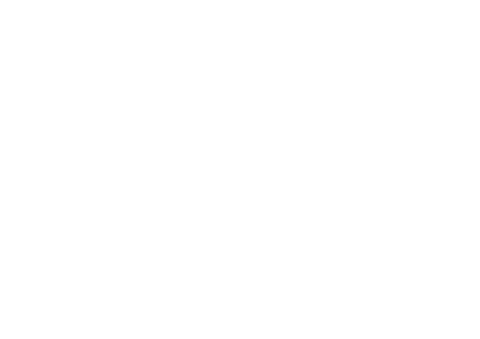 Zoom One-logotypen