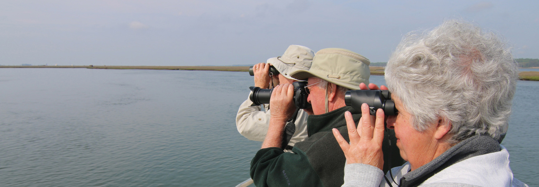 A group of people on a boat in Virginia use binoculars and a camera to view wildlife along the marshy shoreline.