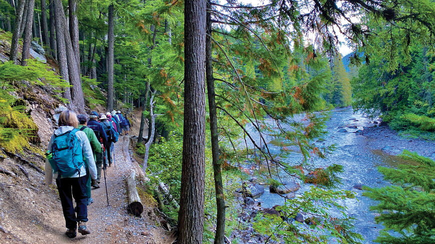 A group of hikers follows a trail through a lush forest beside the Flathead River in Glacier National Park, Montana.