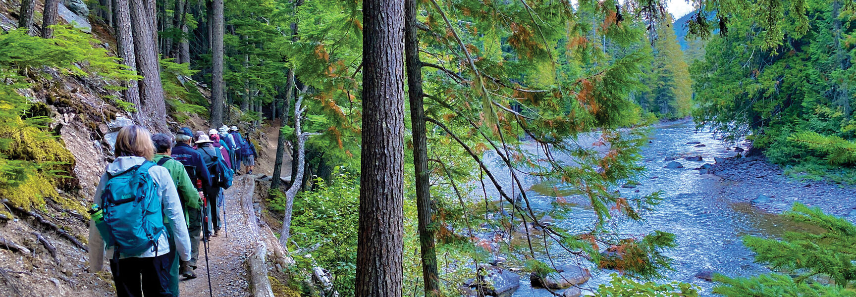 A group of hikers follows a trail through a lush forest beside the Flathead River in Glacier National Park, Montana.